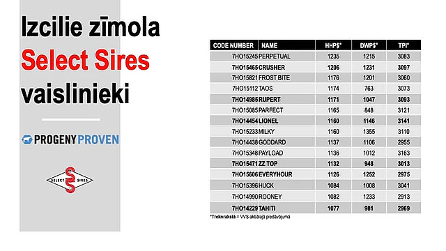 WWSires vaislinieki pēc 2024.gada augusta vērtējuma